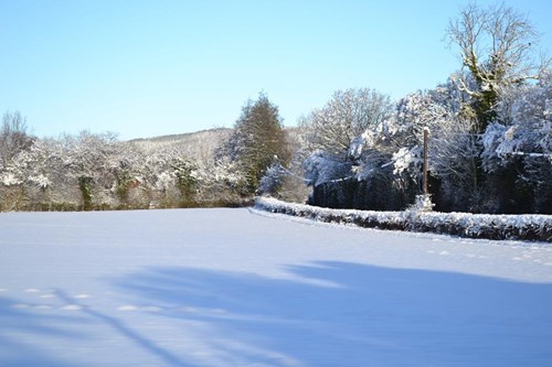 A photo of the Herefordshire countryside covered in snow
