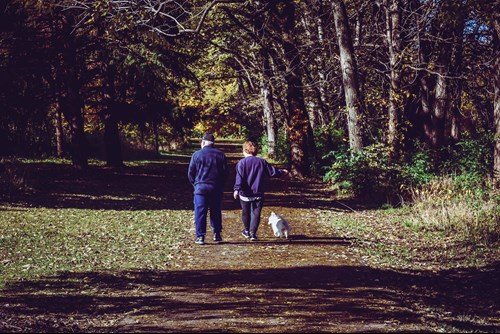 Older couple walking their dog