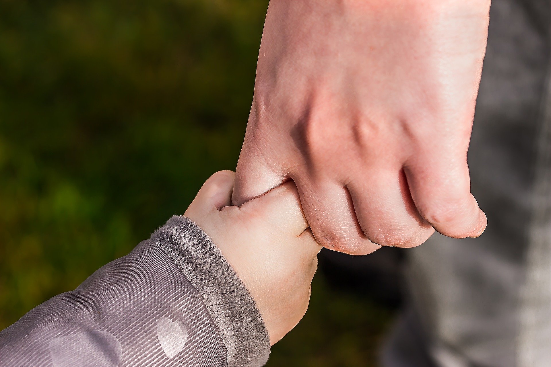 An adult and toddler holding hands