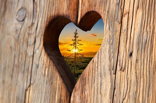 A photo of a sunset taken through a heart shaped hole in a wooden fence