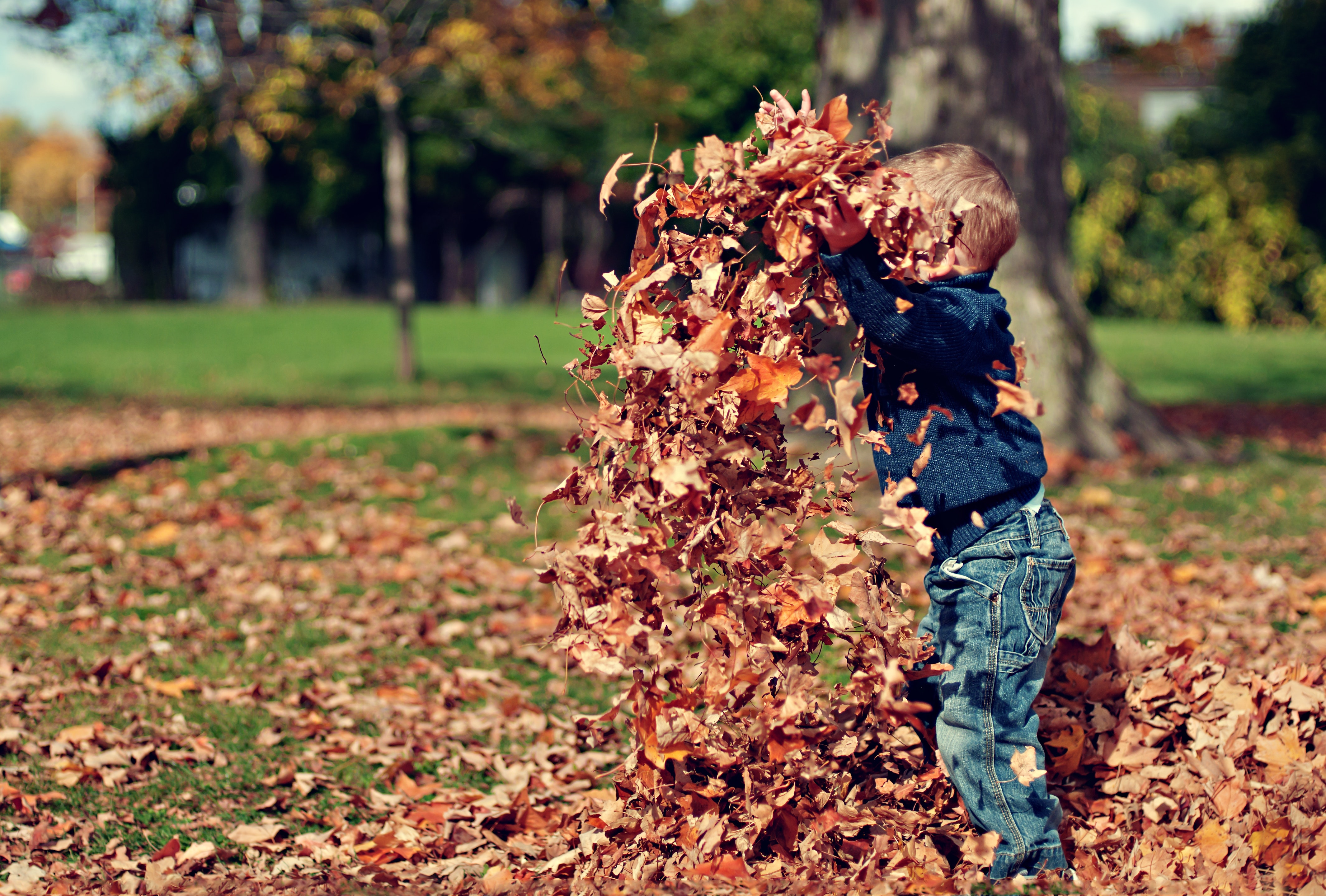 A toddler playing in the leaves