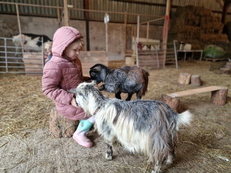 Girl sitting on a hay bale with 2 baby goats