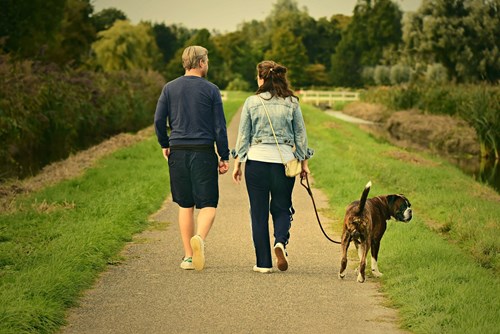 Two people walking with a dog